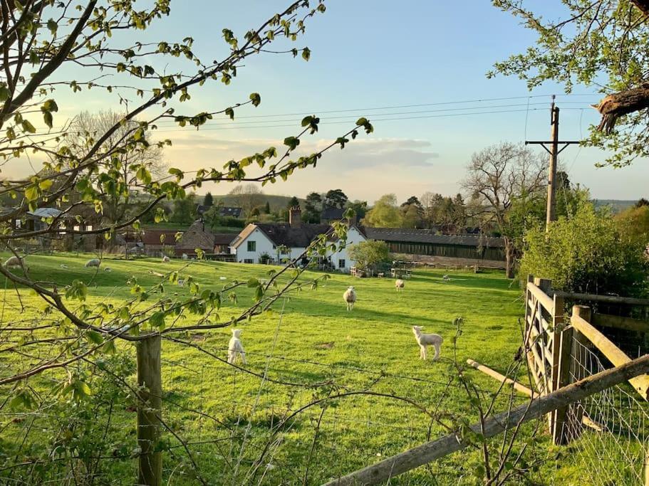 ブリッジノースThe Cart House - Beautiful Contemporary Barn - Hot Tubアパートメント エクステリア 写真